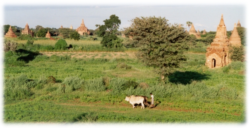 p08, Bagan Myanmar.jpg
